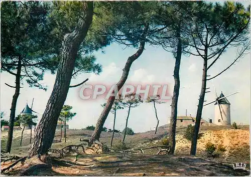 Moderne Karte Paysage du Bocage Moulin