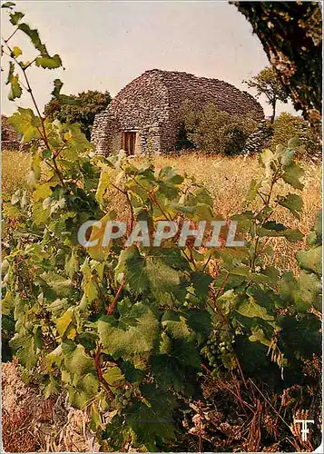 Cartes postales moderne Provence Une bori pres de Gordes