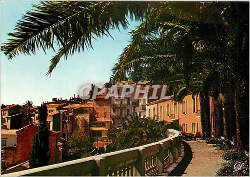 Cartes postales moderne Cote d'Azur Carrefour Mondial du Tourisme Bormes les Mimosas Vue generale