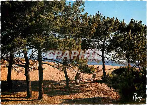 Cartes postales moderne Saint Brevin Les Pins sur la Dune