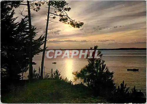 Cartes postales moderne Coucher de Soleil