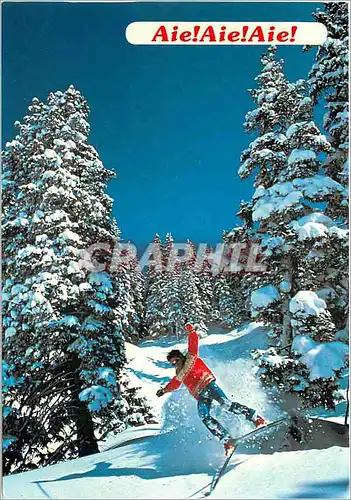 Cartes postales moderne Les Joies du Ski