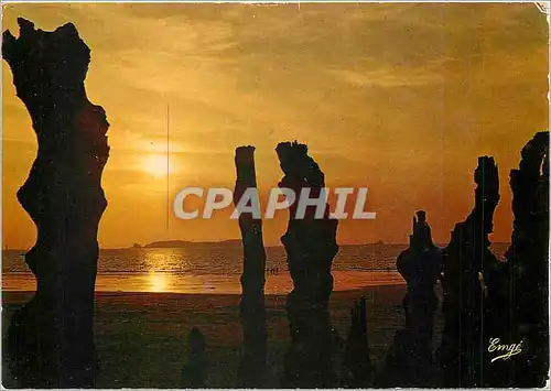 Cartes postales moderne Cote d'Emeraude Saint Malo Coucher de soleil sur les Brise lames