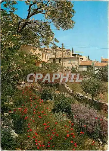 Cartes postales moderne La Cadiere d'Azur Chemin des aires de Ste Madeleine