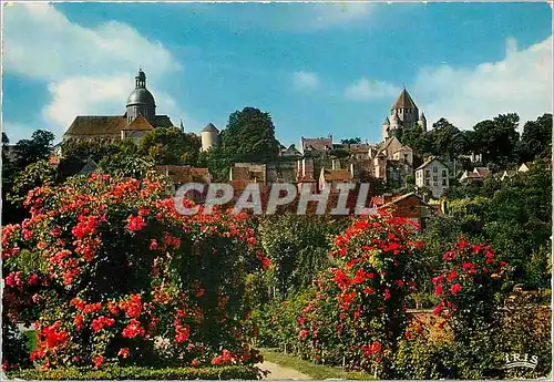 Cartes postales moderne Provins Seine et Marne Panorama de la Ville Haute sur la Roseraie