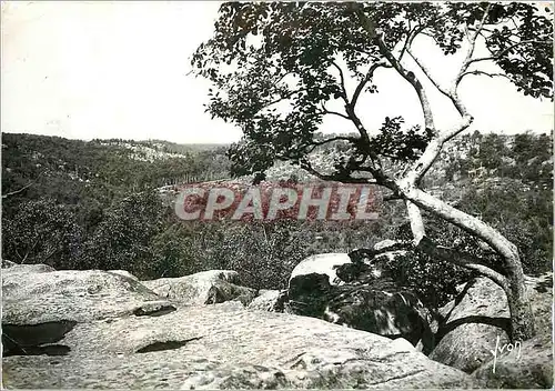 Cartes postales moderne Fontainebleau S et M La Foret Gorges de Franchard