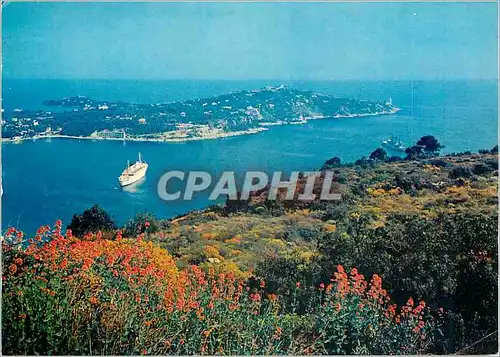 Cartes postales moderne St Jean Cap Ferrat Alpes Mar Vue panoramique de la presqu'ile et la rade de Villefranche