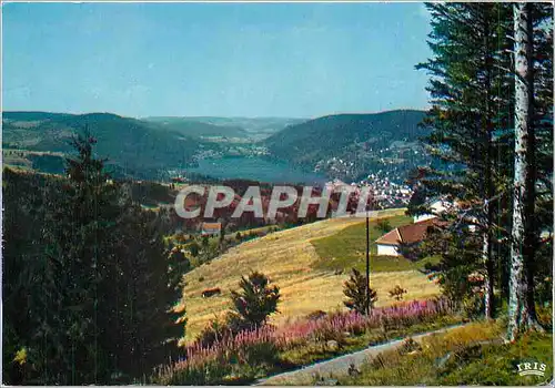 Moderne Karte Gerardmer Vosges Le Lac dans son nid de verdune