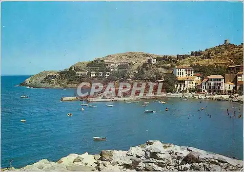 Cartes postales moderne Collioure PO Vue pan oramique prise sur le Faubourg