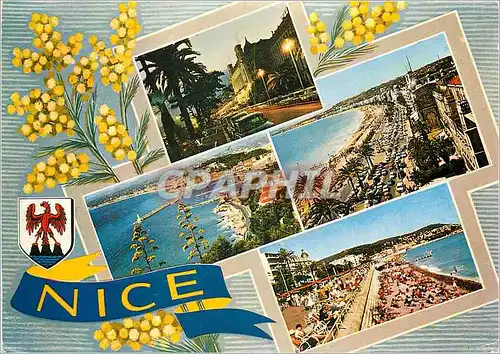 Cartes postales moderne La Cote d'Azur Souvenir de Nice