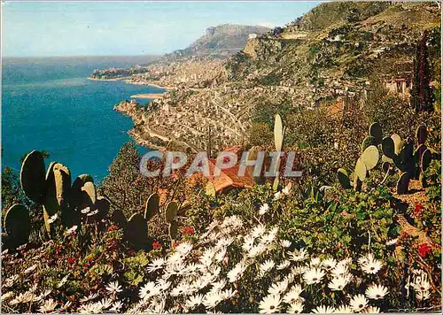 Cartes postales moderne La Cote d'Azur Roquebrunne Alpes Maritimes La Riviera vers Beausoleil et la Principaute de Monac