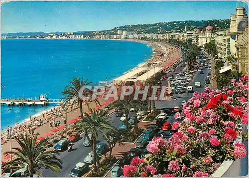 Cartes postales moderne Nice La Promenade des Anglais