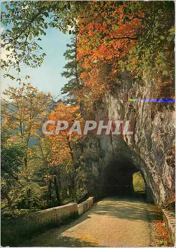 Moderne Karte Les Alpes en couleurs naturelles En Chartreuse Route du Desert en automne