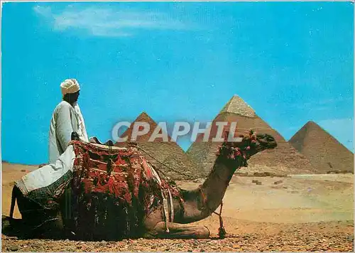 Moderne Karte Les Pyramides de Giza