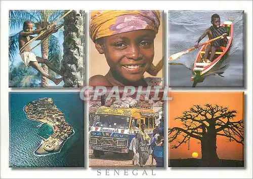 Cartes postales moderne Senegal Mosaique senegalaise