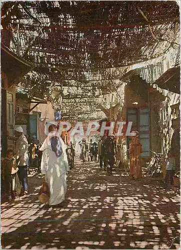 Cartes postales moderne Marrakech Dans les souks