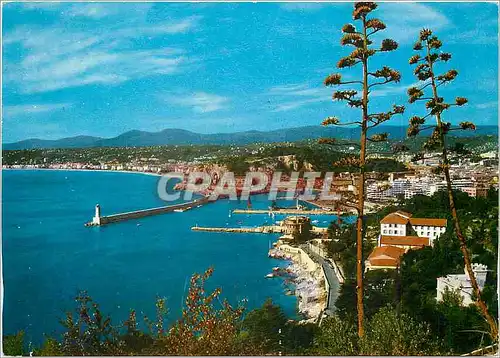 Moderne Karte  Port de Nice et Monument aux Morts