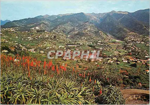 Cartes postales moderne Ilha da Madeira Portugal Vue du Pic des Barcelos