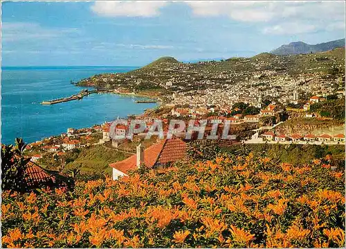 Cartes postales moderne Funchal Madeira Vista Oeste