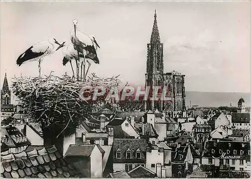 Cartes postales moderne Strasbourg Vue generale et le Nid de Cigognes