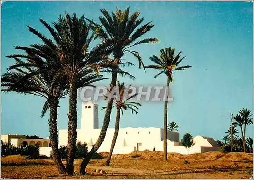 Cartes postales moderne Tunisie Djerba Une de ses innombrables mosquees