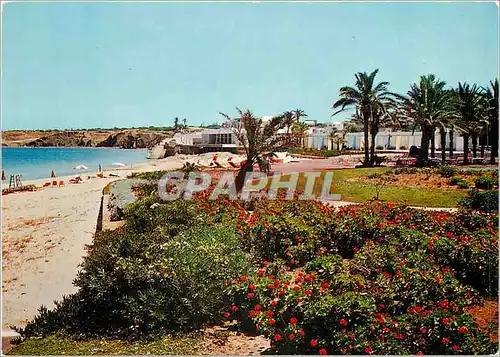 Cartes postales moderne Tunisie Skanes