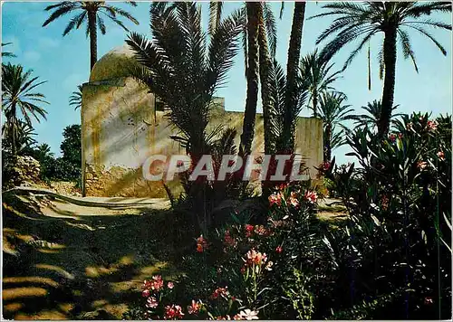 Cartes postales moderne Tunisie Gabes