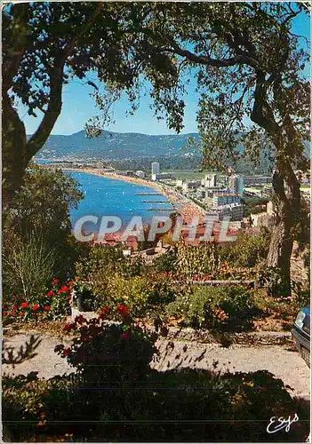 Cartes postales moderne Le Lavandou Var Vue generale prise de la colline