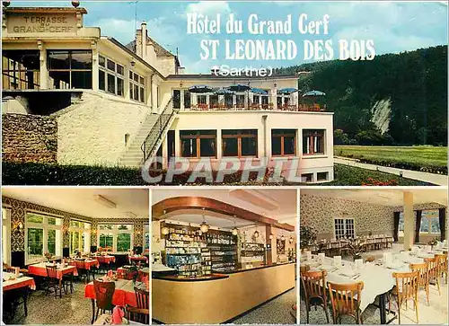 Cartes postales moderne Hotel du Grand Cerf St Leonard des Bois