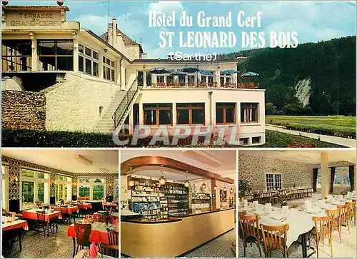 Moderne Karte Hotel du Grand Cerf St Leonard des Bois