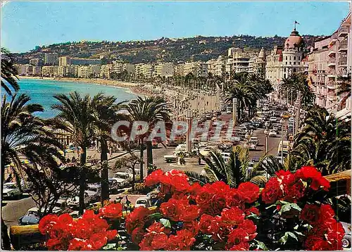 Cartes postales moderne Nice Cote d'Azur La Promenade des Anglais