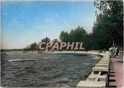 Cartes postales moderne Subotica Palic Obala
