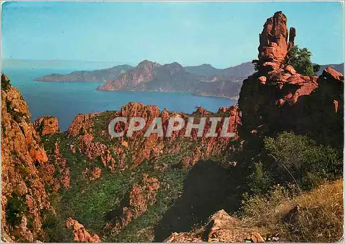 Cartes postales moderne La Corse Ile de Beaute Les Calanche de Piana