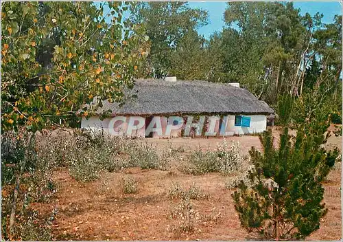 Cartes postales moderne Vendee