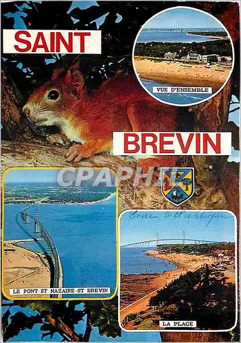 Moderne Karte Saint Brevin Ecureuil Le pont St Nazaire St Brevin La plage