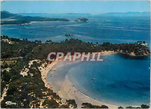 Cartes postales moderne Cote d'Azur France Environs de La Londe et du Lavandou Bormes les Mimosas Var