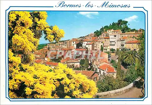 Cartes postales moderne Bormes les Mimosas