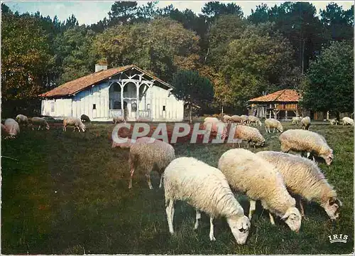 Moderne Karte Marqueze Sabres Landes La Maison Le Mineur