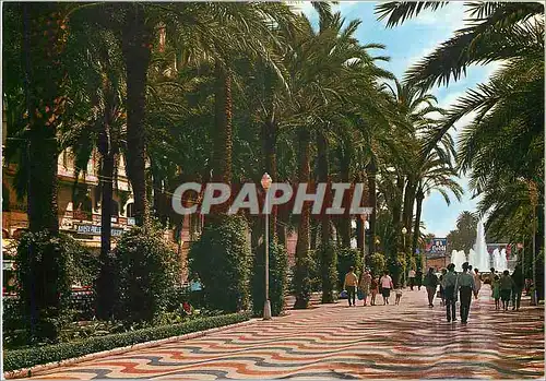 Cartes postales moderne Alicante Explanada de Espane