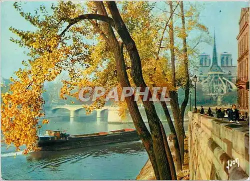 Cartes postales moderne Paris Notre Dame vue de l'Ile Saint Louis