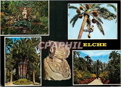 Cartes postales moderne Elche Tocador de la Dame de Eiche