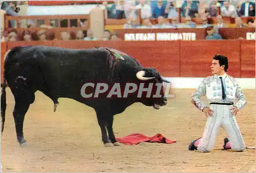 Cartes postales moderne Miguelin Desplante