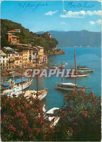 Cartes postales moderne Portofino Vue panoramique