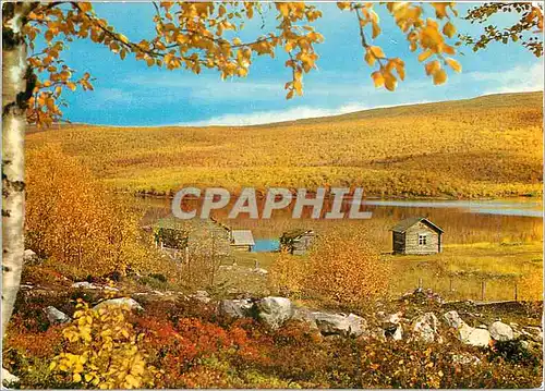 Cartes postales moderne Lappi Lapland Suomi Finland Die Wildniss ist sparlich bewohnt