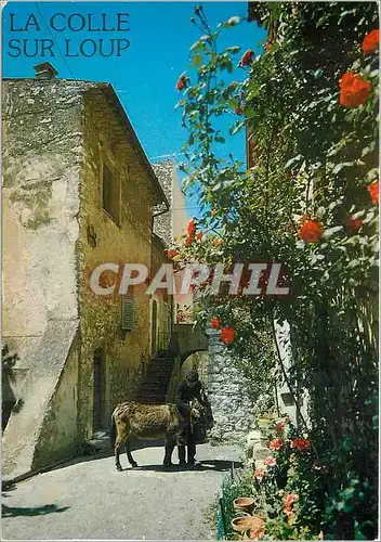 Cartes postales moderne Cote d'Azur French Riviera La Colle Sur Loup Alpes Maritimes L'arriere pays pittoresque