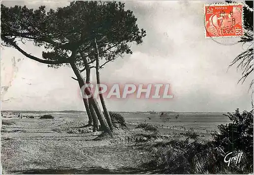 Moderne Karte Saint Brevin Loire Inferieure La Plage des Dunes