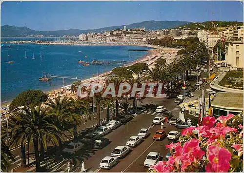 Moderne Karte Cannes La Promenade et les Plages de la Croisette dans le fond le Suquet