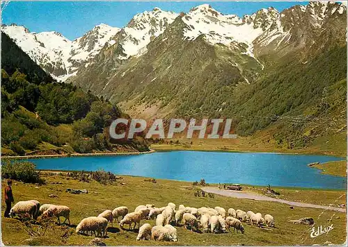 Cartes postales moderne Hautes Pyrenees Sur la route d'Argeles au col d'Aubisque Le lac d'Estaing