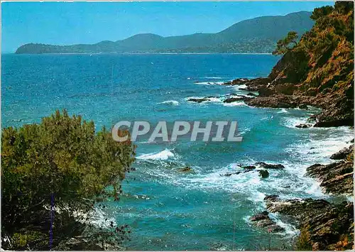 Cartes postales moderne Mediterranee aux rives d'or ensoleillees Au creux de la vague