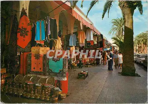 Cartes postales moderne Casablanca Bd El Hansale